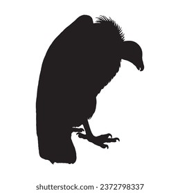 Vector Illustration of Vulture Silhouette