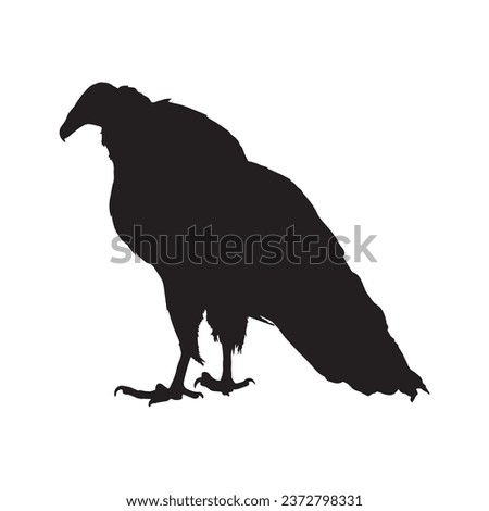 Vector Illustration of Vulture Silhouette