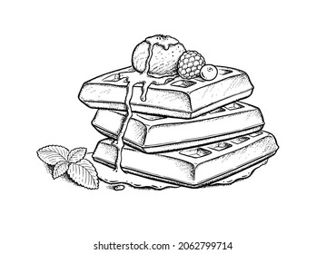 Ilustración vectorial de Waffles con helado, bayas y hoja de menta. Dibujo de estilo vintage aislado sobre fondo blanco.