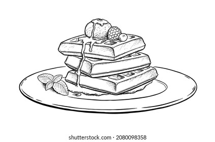 Vector illustration of Waffles with ice cream and mint leaf on plate. Vintage style drawing isolated on white background.