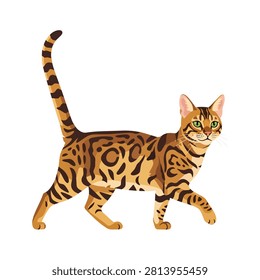 Vector Illustration of a Walking Bengal Cat with Spotted Fur and Green Eyes Isolated on White