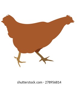 vector illustration of walking chicken