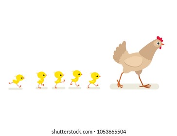 Vector illustration of walking hen and chicks isolated on white background 