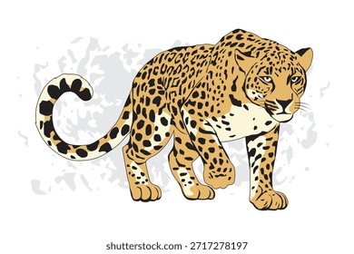 Ilustración vectorial de un leopardo caminante, gran felino de la vida silvestre aislado sobre fondo blanco.