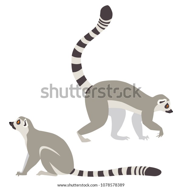 Vector Illustration Walking Sitting Lemurs Isolated Stock Vector ...