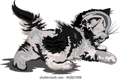 Vector illustration, walking tabby fluffy kitten.