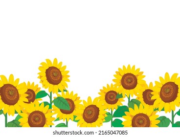 Vector Illustration: wallpaper and background landscape sunflowers garden and sky.