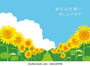 Vector Illustration: wallpaper and background landscape sunflowers garden and sky."Summer greetings to you."