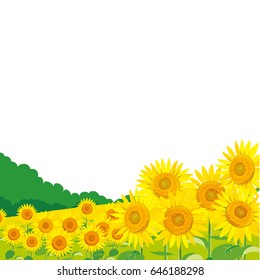 Vector Illustration: wallpaper and background landscape sunflowers garden and sky.