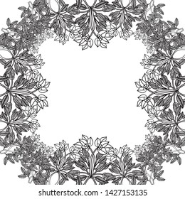 Vector illustration wallpaper design with drawing flower frame