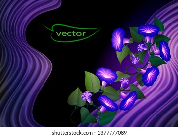 Vector illustration. Wallpaper as a template in blue on the cloth Flower bindweed, Liana with purple flowers 3D image of a plant pattern with green leaves and blue flowers of a natural look
