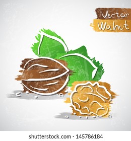 Vector illustration of walnut with leaves
