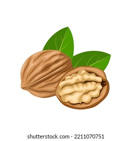 Vector illustration, walnut in shell, suitable as label or template, agricultural product packing.