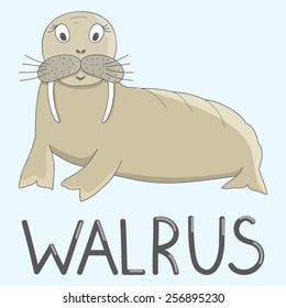 Vector illustration with walrus