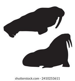 Vector Illustration of Walrus Silhouette