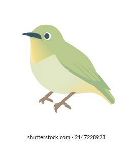 Ilustración vectorial, ojo blanco agrietador, pájaro pequeño