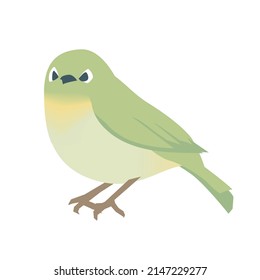 Vector Illustration, Warbling white-eye, small bird
