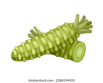 Vector illustration, wasabi or Eutrema japonicum, isolated on white background.