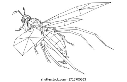 Ilustración vectorial de una avispa. Insectos lineales abstractos.