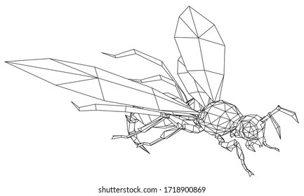 Ilustración vectorial de una avispa. Insectos lineales abstractos.