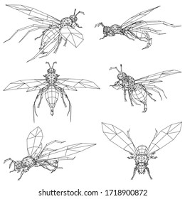 Ilustración vectorial de una avispa. Insectos lineales abstractos.