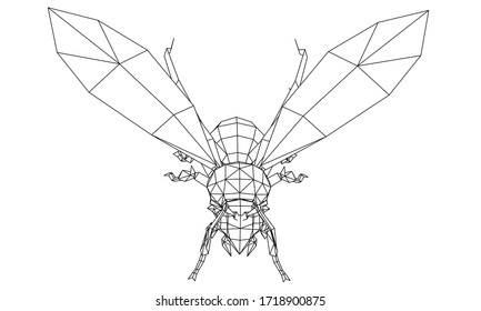 Vector illustration of a wasp. Abstract linear insect.