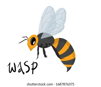 vector illustration with wasp, bee on a white background isolated