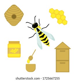 Vector illustration: wasp, hive, honeycomb, honey