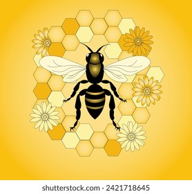 Vector illustration of a wasp on a honeycomb background, top view