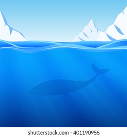 Vector illustration: Water Background with northern sea, icebergs and whale.