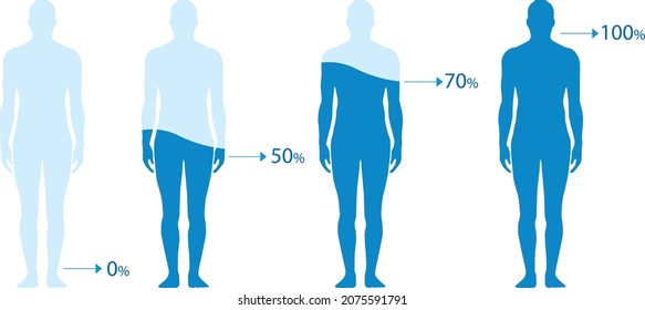 Ilustración vectorial Equilibrio de agua. Infografía que muestra el nivel porcentual de agua en el cuerpo humano. 