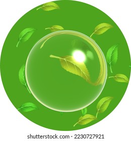 ilustración vectorial de una bola de agua sobre un fondo circular de hoja de té verde