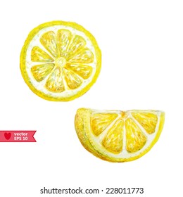 vector illustration with water color lemon