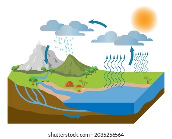 vector illustration of the water cycle in nature. ESP10.