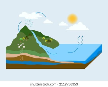 vector illustration of the water cycle in nature. ESP10.