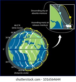 Vector illustration of the water cycle on earth. Temperature and climate on the globe.