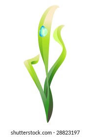 Vector illustration of the water drop, slipping on the plant leaves.