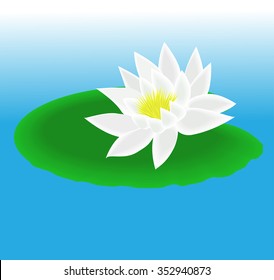 7,942 Water lily blue Stock Illustrations, Images & Vectors | Shutterstock