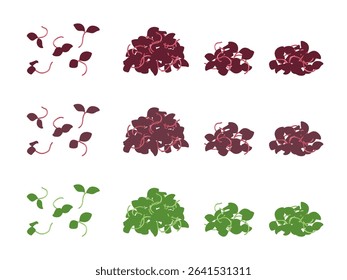 Vector Illustration of water pepper 
