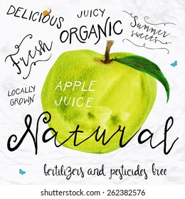 Vector illustration of watercolor apple, hand drawn in 1950s or 1960s style. Concept for farmers market, organic food, natural product design, soap package, herbal tea, etc.