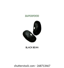 Vector illustration of watercolor black bean. Superfood. Hand drawn.
