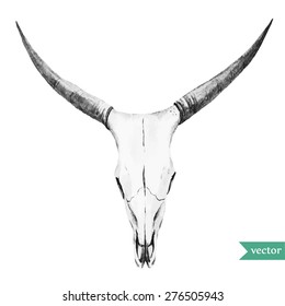 vector illustration watercolor bull's head in black and white