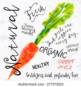 Vector illustration of watercolor carrot, hand drawn in in 1950s or 1960s style. Concept for farmers market, organic food, natural product design, stir fry, soup, salad, etc.