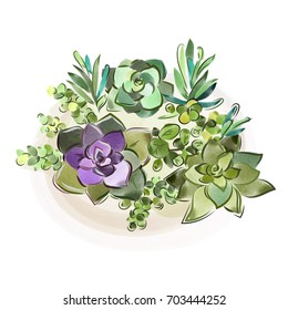 Vector illustration. Watercolor collection of succulents for design, hand-drawn.