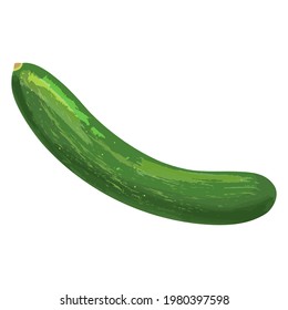 Vector illustration of watercolor cucumber