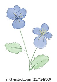 Vector illustration of watercolor flower with black line. Design for interior decoration, postcards, paintings and websites. Set of multicolored flowers. Vector isolated flowers on a white background
