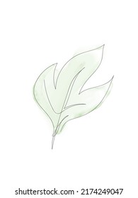Vector illustration of watercolor flower with black line. Design for interior decoration, postcards, paintings and websites. Set of multicolored flowers. Vector isolated flowers on a white background