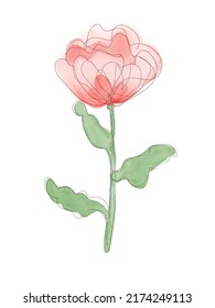 Vector illustration of watercolor flower with black line. Design for interior decoration, postcards, paintings and websites. Set of multicolored flowers. Vector isolated flowers on a white background