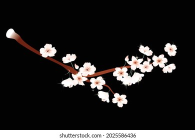 vector illustration of watercolor flower ornament