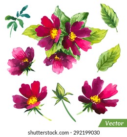 Vector illustration with watercolor flowers. Painting violet set of plants with pink spring flowers.